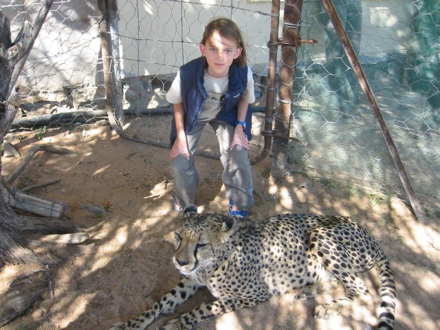 Daphne met cheetah